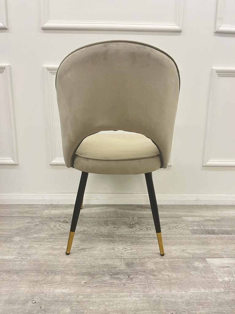 Rear view of a champagne velvet dining chair with a curved open back and tapered legs