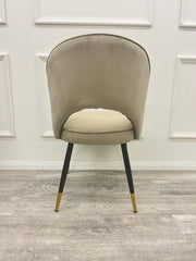 Rear view of a champagne velvet dining chair with a curved open back and tapered legs
