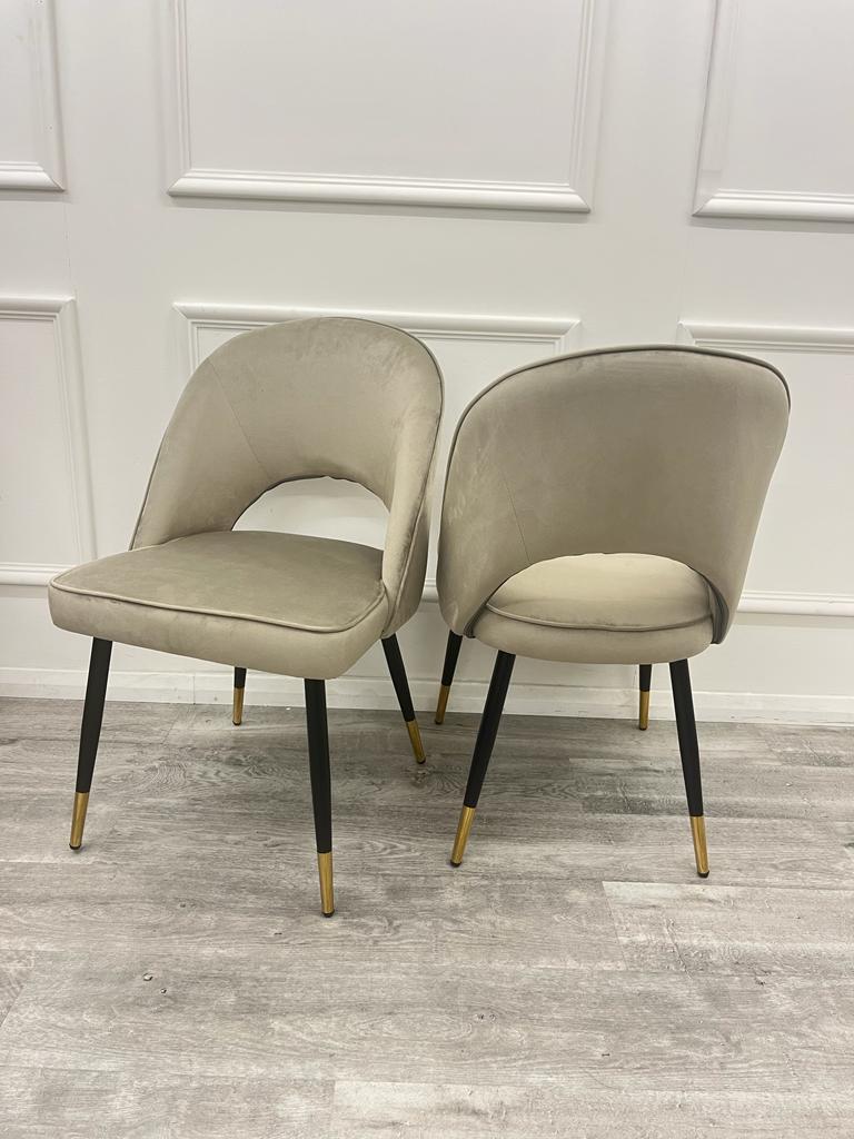 Pair of champagne velvet dining chairs with curved open-back seats and black legs with gold tips