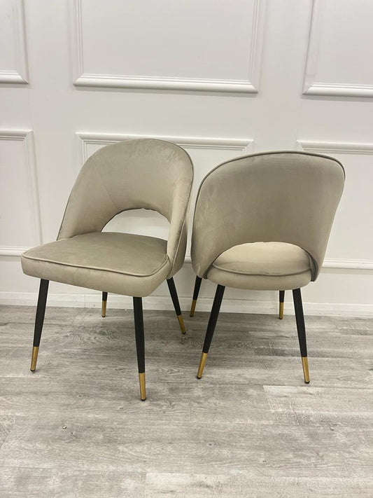 Pair of champagne velvet dining chairs with curved open-back seats and black legs with gold tips