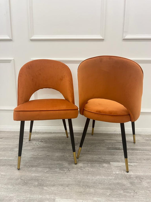 Set of two rust velvet dining chairs with curved backs and black, gold-tipped legs